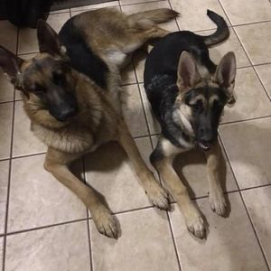 Meet your Posher, Deanne